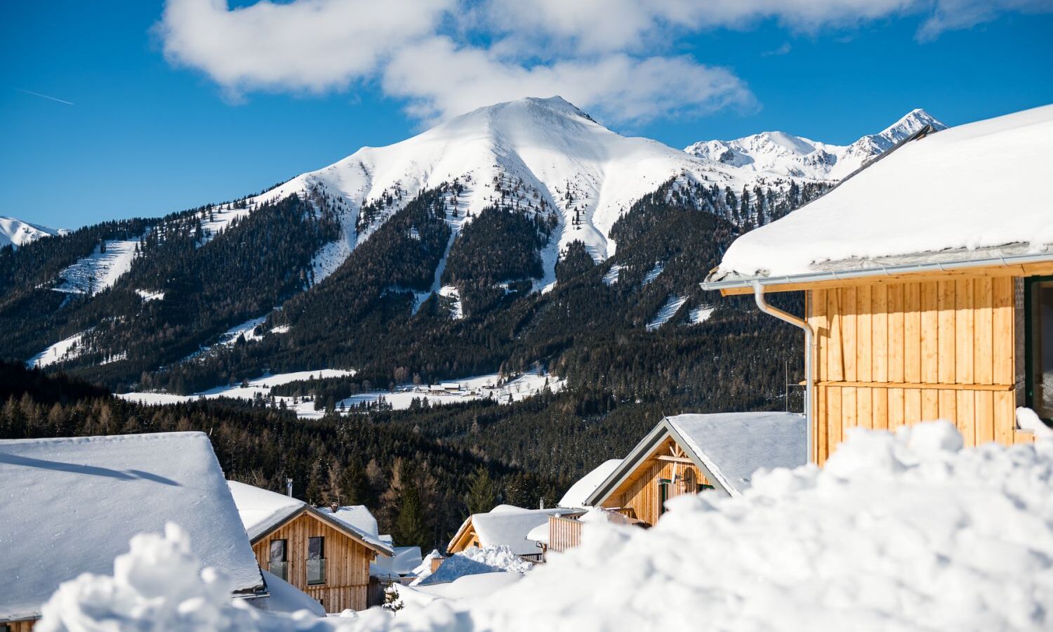 Holiday home in Hohentauern in Austria