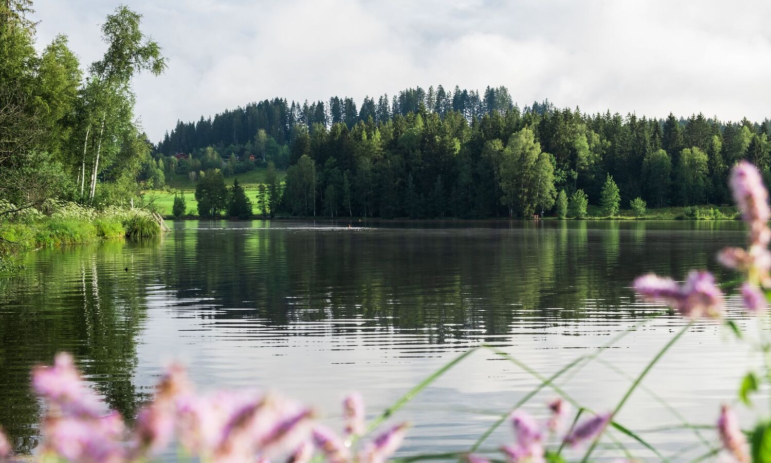 landschaft wasser schwarzsee sommer c kitzbuehel tourismus min dfxvy6wdr9mcxtp