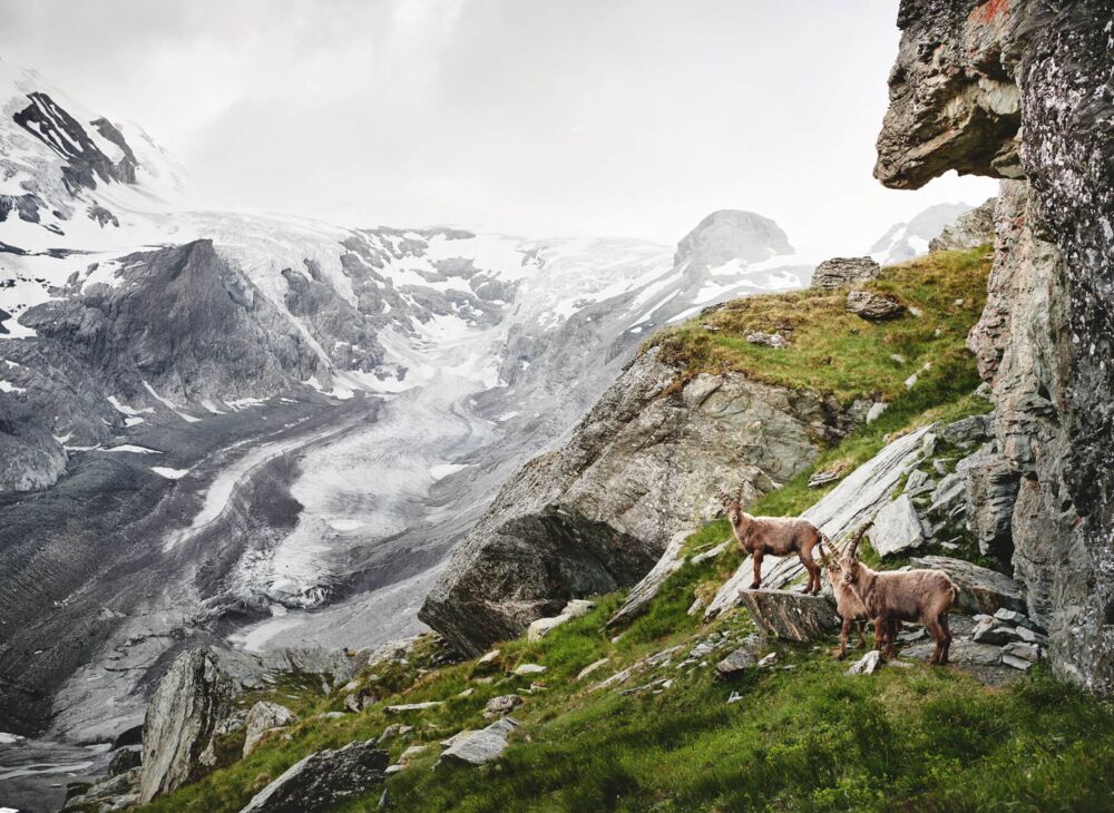 slt grossglockner hochalpenstrasse 821c0a33