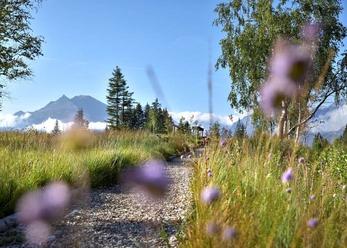 wasenmoos c mittersillplus michaelhuber m0tmk5m6d74s4kk