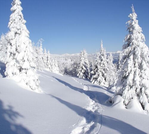 %28c%29%20Archiv%20Naturpark%20Zirbitzkogel Grebenzen%20%283%29 f854c0ec