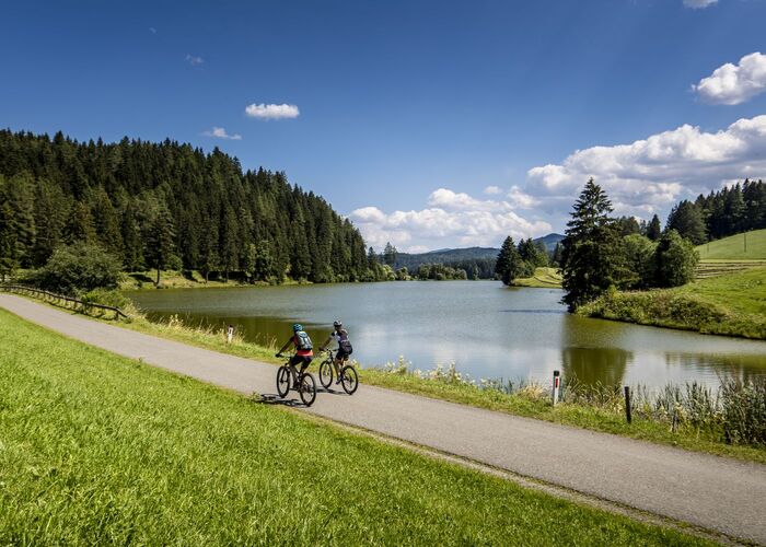 %28c%29 lamm 3 eeyxd0f9vy3fk3p