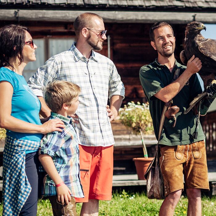Hohentauern National Park holiday region with birds of prey