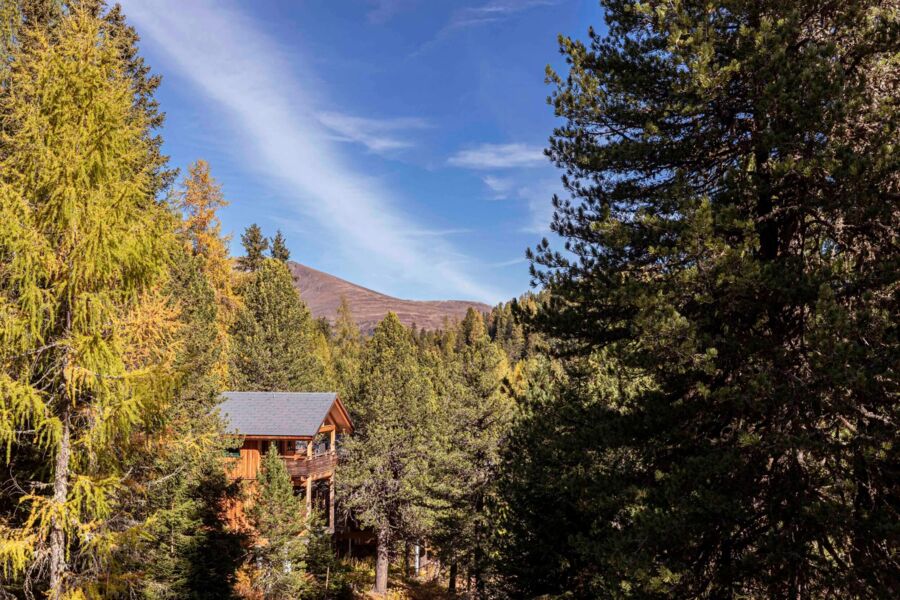 Chalet amidst the stone pine forest   autumn