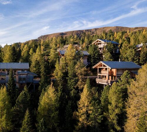 Wooden holiday homes in the middle of an autumnal Swiss stone pine forest