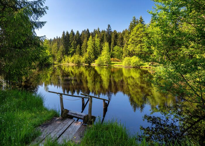 landschaft wasser gieringer weiher c kitzbuehel tourismus krtj4xmda27hgsv