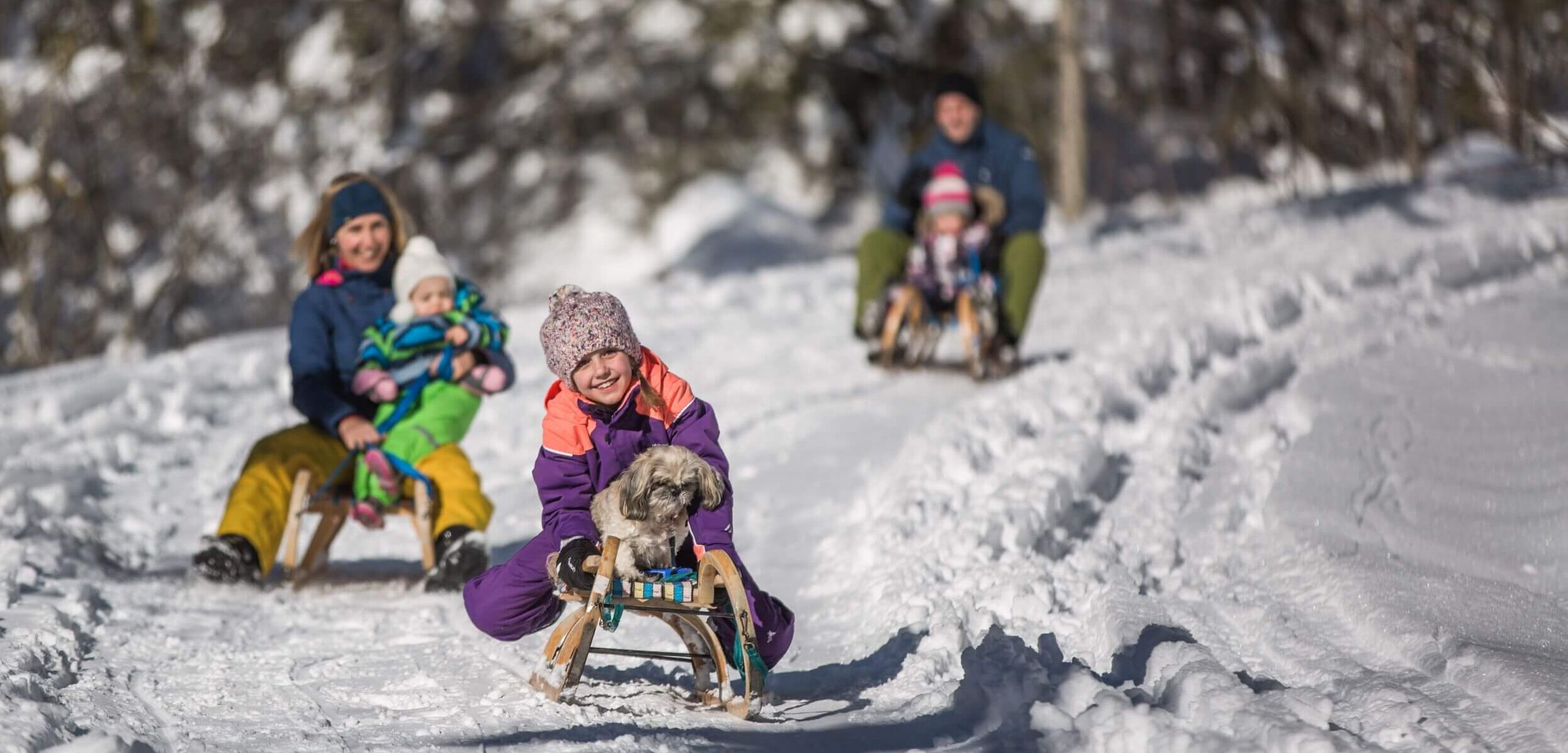 Kind mit Hund auf dem Schlitten beim Rodeln