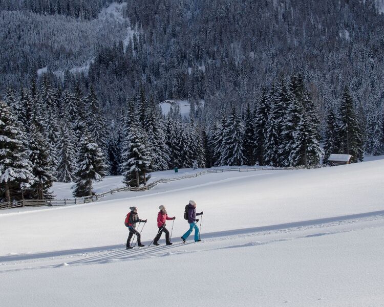 Drei Damen genießen gemeinsam eine Winterwanderung durch die verschneite Winterlandschaft im Wipptal.