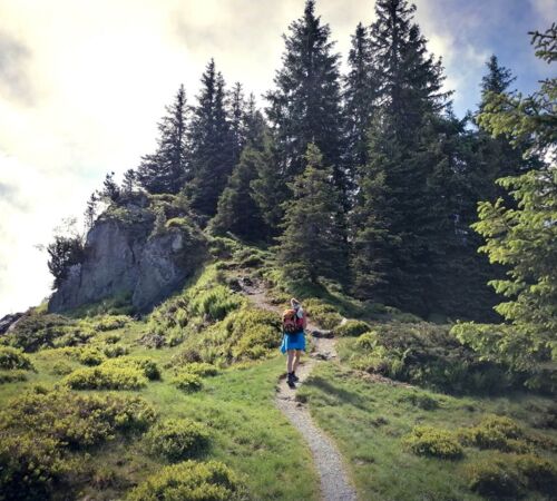 Wanderer vor einem Waldstück am Weg zum Gipfel des Brechhorns