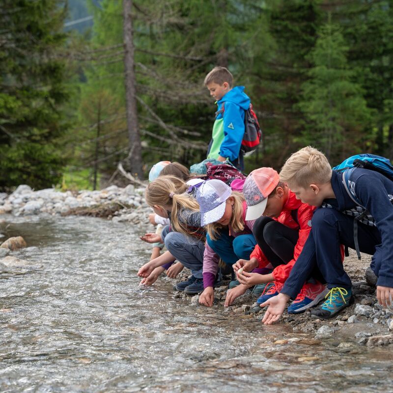 bergkristalle suchen c lukas pilz tourismusverband rauris qdazh1vmv81n47c