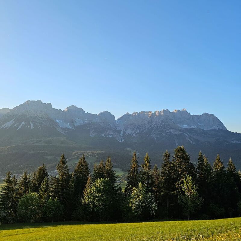 The Wilder Kaiser on a summer's day, with the mown meadow in the foreground.