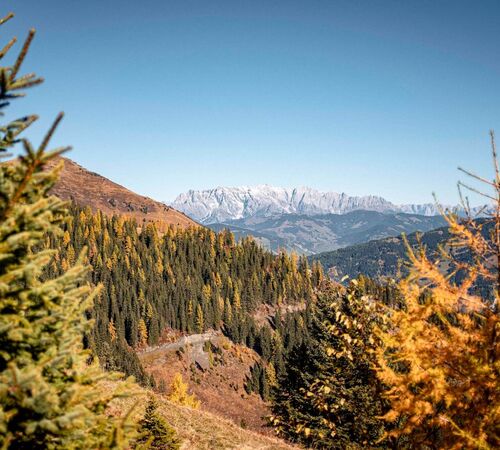 Bunte Herbstwanderung im Raurisertal