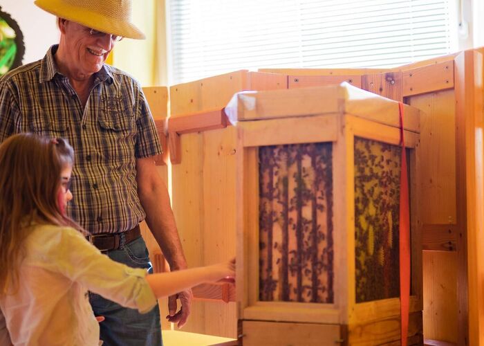 Show beehive at the Naturlesemuseum “School of the Senses”, Murau, Styria, Austria