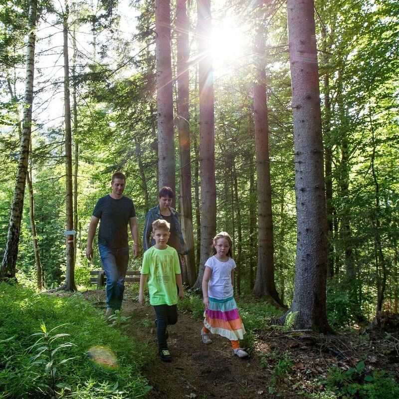 wandern mit der familie c tourismusverband murau tom lamm 9v2350sh472fvms