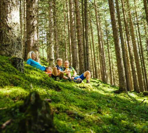 wandern mit familie im wald raurisertal c slt bb995024