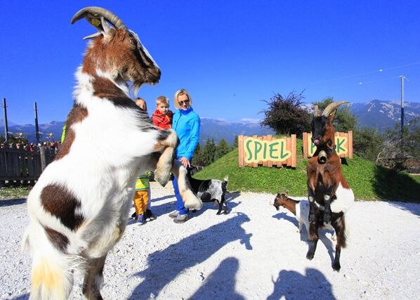 wilder berg %28c%29katharina wassler 4 z6n7tdgw2sv7nme