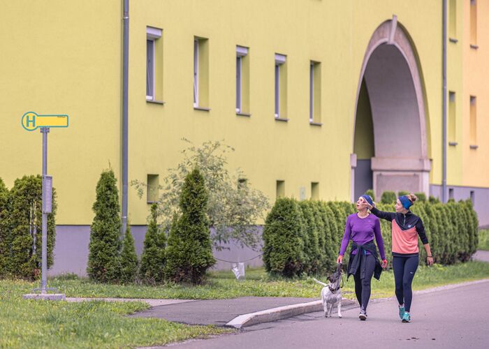 image qadkzsq655rxrt0