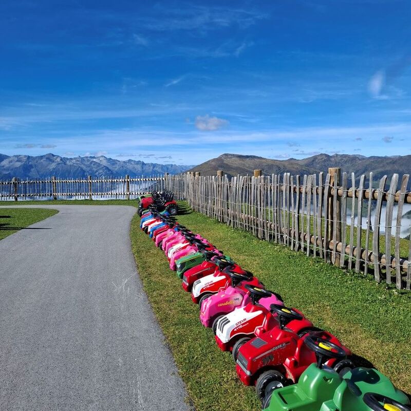 Bobbycars in verschiedenen Farben stehen nebeneinander auf einer Wiese mit Bergen und blauem Himmel im Hintergrund.