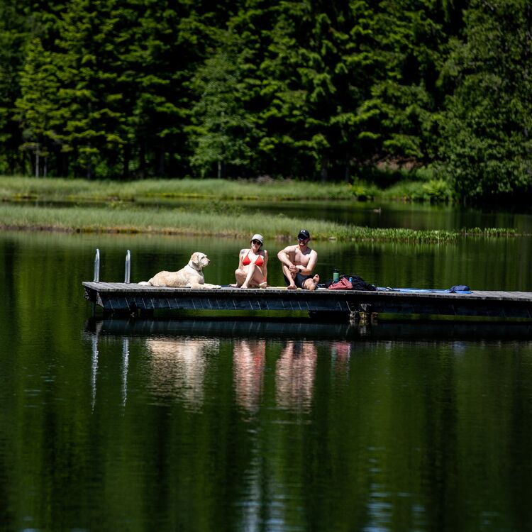 Couple with dog on the wooden jetty at Lake Schattensee