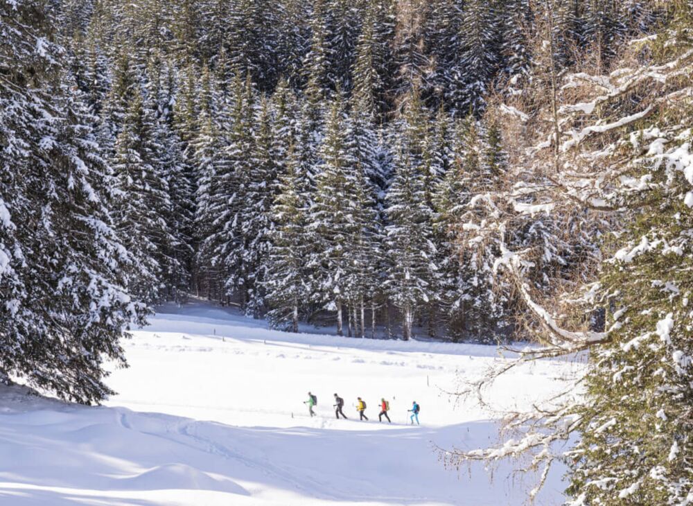 snowshoe hiking in Kolm Saigurn, Raurisertal Valley (c) Ferienregion Nationalpark Hohe Tauern