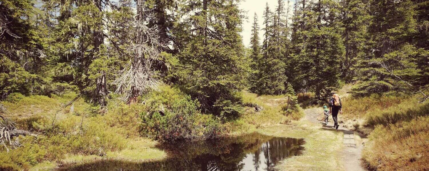 urwald familie ja3p8mn0h89g1yd