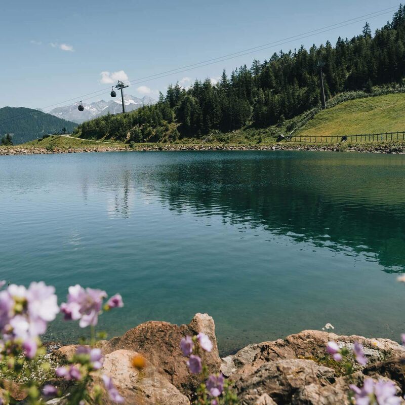 wipptal bergeralm baerenbachl sommer c tvb wipptal johannes bitter pb76depev9teqk4
