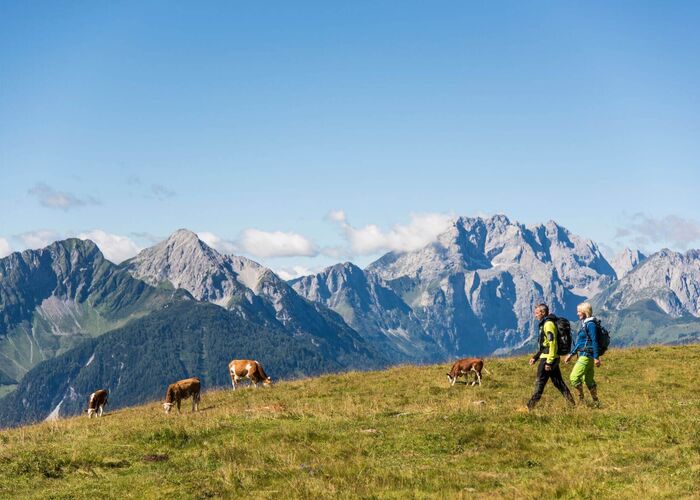 00000000014 030 16 FRANZGERDL Natur Aktiv NLW 9027 %28C%29Franz%20Gerdl 63ya8gss7jb2nnv