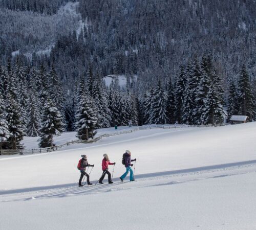 Winterwandern %28c%29%20TVB%20Wipptal 8d9872ce