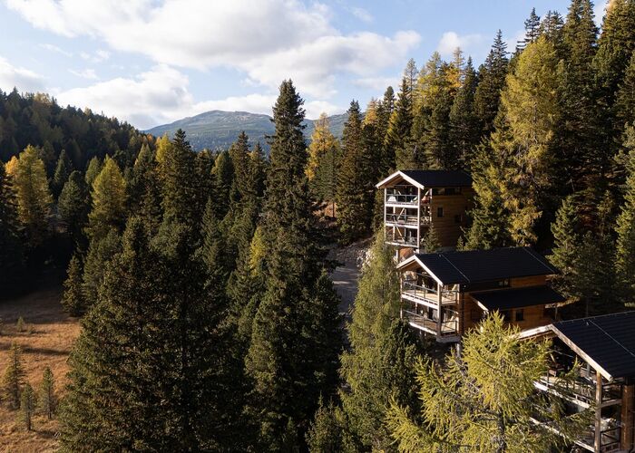 Naturchalets Turracher Höhe surrounded by coniferous forest with views of the surrounding mountains.