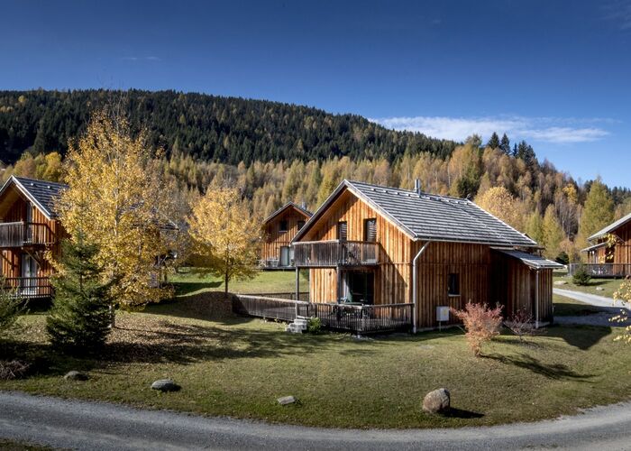 Almdorf Stadl by ALPS RESORTS