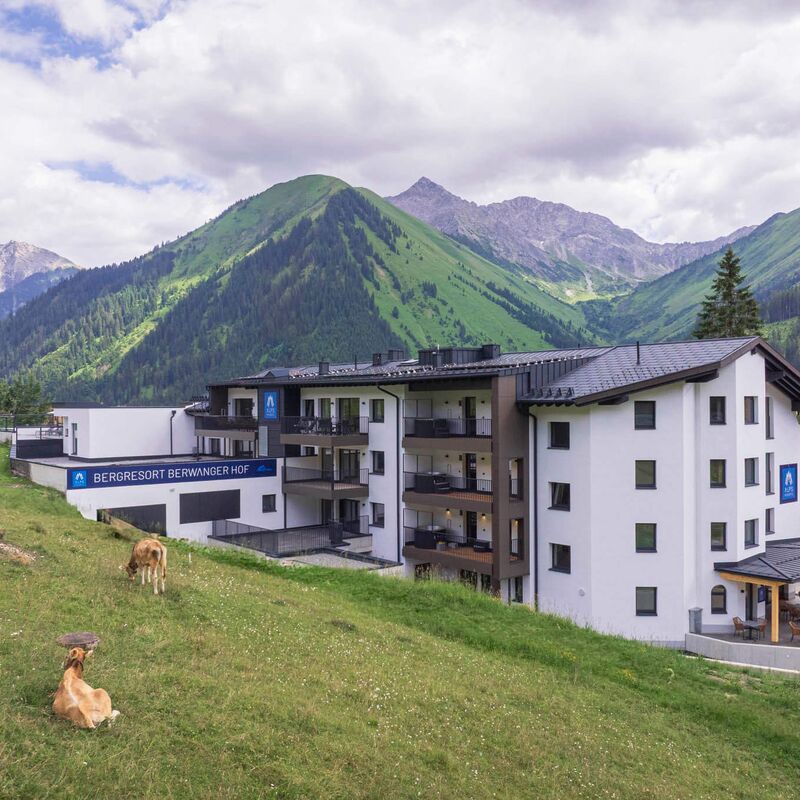 Kühe liegen auf der Wiese vor dem modernen Bergresort Berwanger Hof