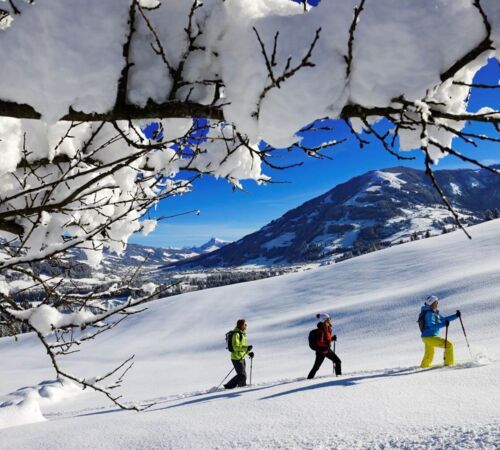 Schneeschuhwandern in Hopfgarten (c) Kitzbüheler Alpen Marketing, Eisele Hein Norbert