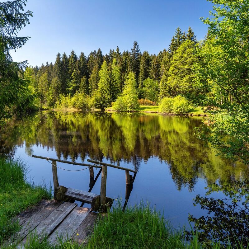 landschaft wasser gieringer weiher c kitzbuehel tourismus jtb17c1chhecmnx