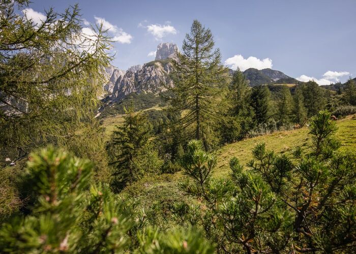 loseggalm mit bischofsmuetze %28c%29 salzburger land tourismus  z37t0gj5mtndn6g