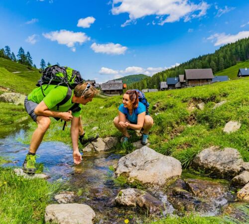 00000014037 Wandern Alm %28C%29%20Peter%20Maier 3e74f8d6