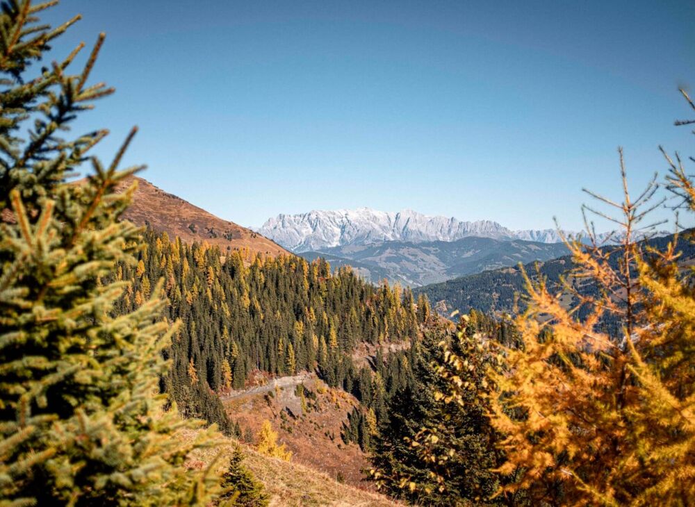 herbst wandern oesterreich raurisertal 96c05162