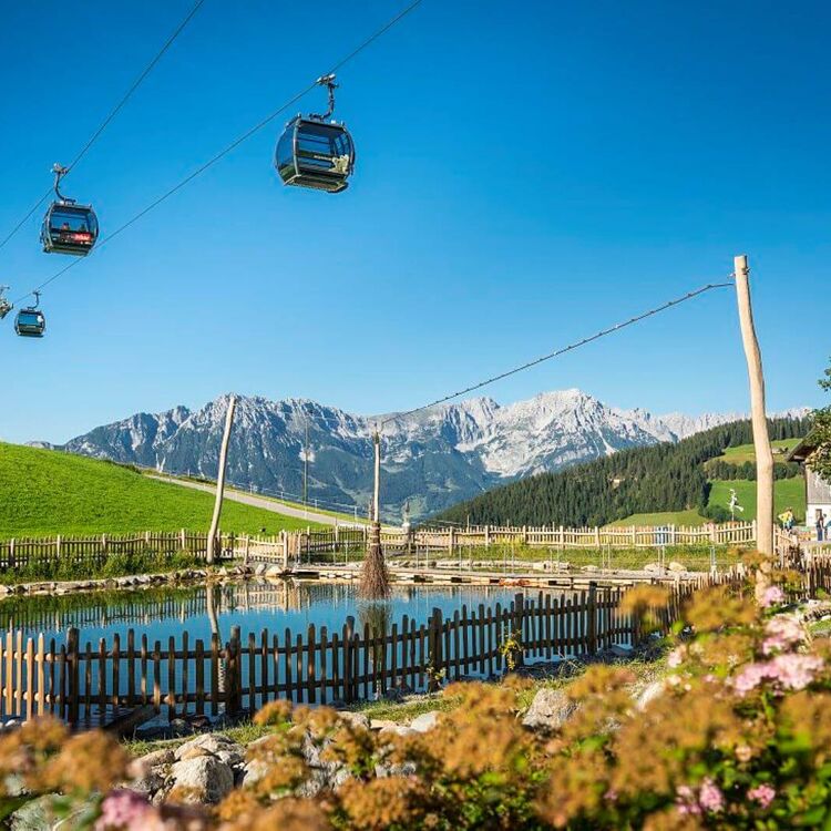 Sommerbergbahn schwebt über einen eingezäunten Teich, im Hintergrund das Bergpanorama
