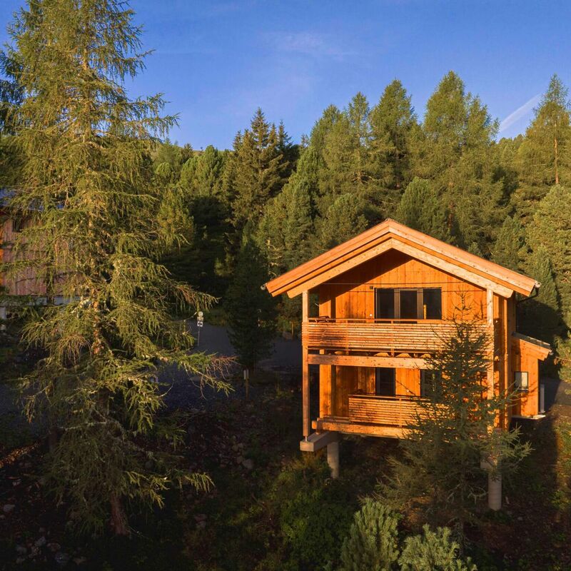 A solitary chalet in the Swiss stone pine forest is illuminated by the sun.