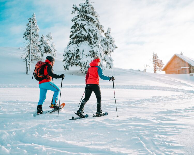 Snowshoe hikers exploring the snowy winter landscape