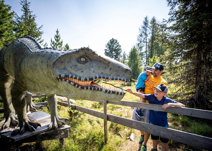 tomlamm kb 220722 2576 3cb5mm8hwfphyzz