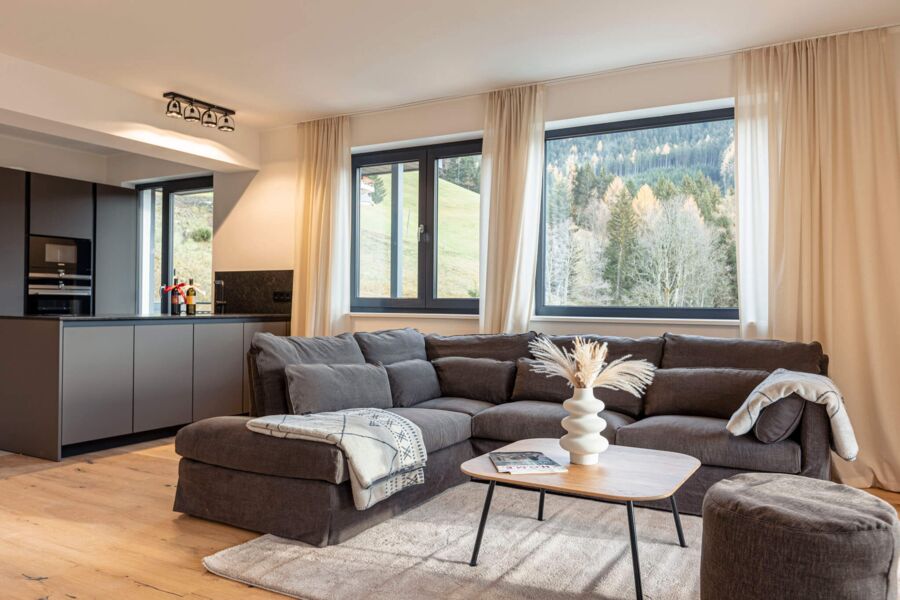 Penthouse Tennengebirge   Hideaway Dachstein West