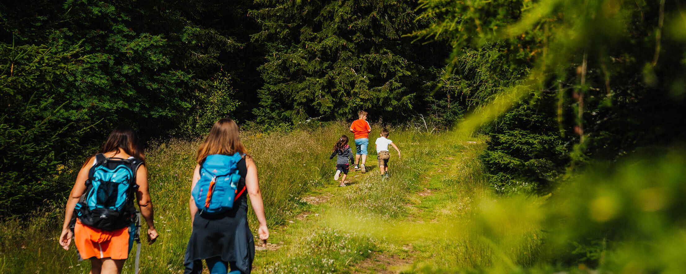 Erlebniswanderweg Wildes Lachtal