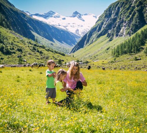 familie%20almwiese%20%C2%A9%20ferienregion%20nationalpark%20hohe%20tauern%20innerhofer 879c4335