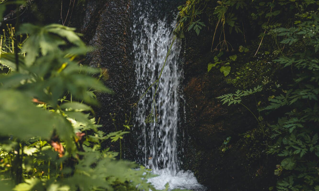Leitenkammer Gorge in summer