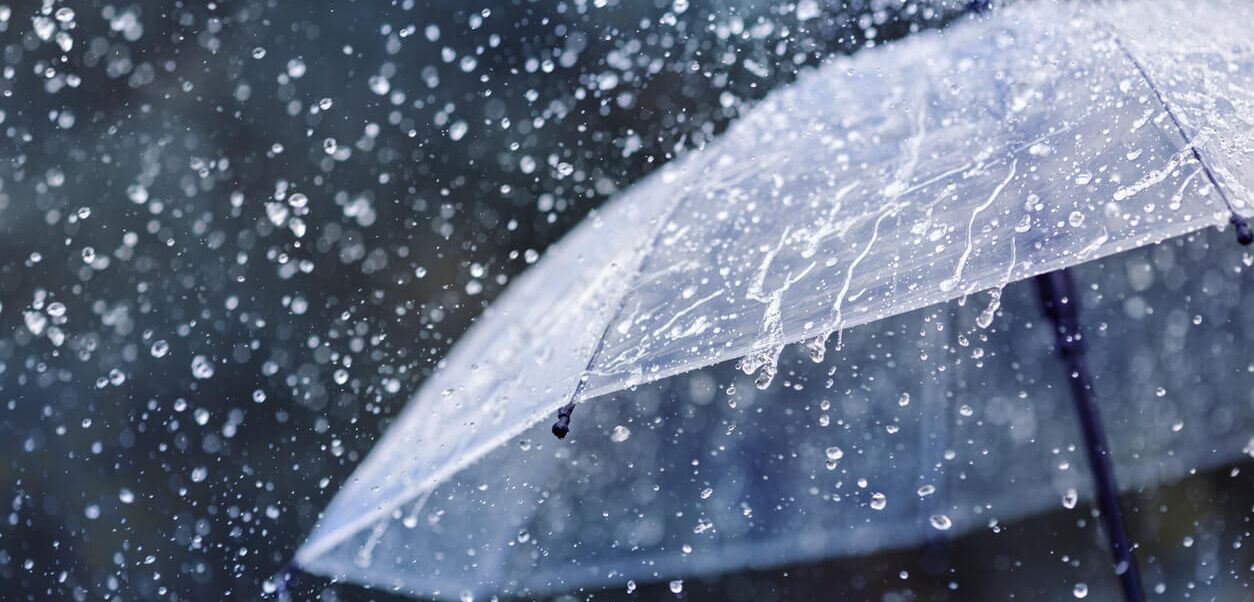 Regenwetter(c)istock|julia sudnitskaya