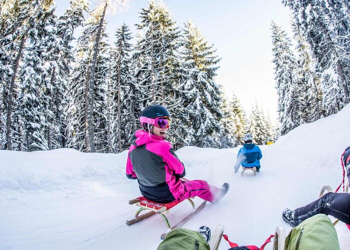 rodelbahn spieljoch familie 300dpi 4 c zillertal tourismus andi frank hn1ff2kvyrd45gt