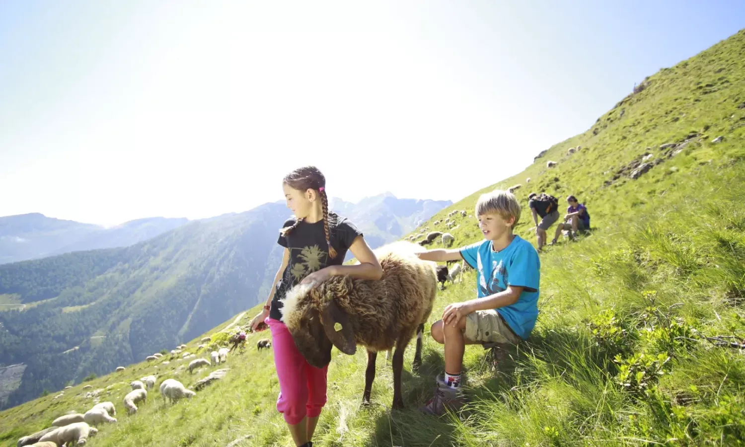 schaferlebnis schladming 91c05vhq7wz770f