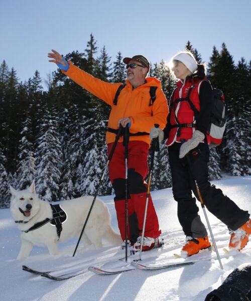 skitour mit hund 901a1771