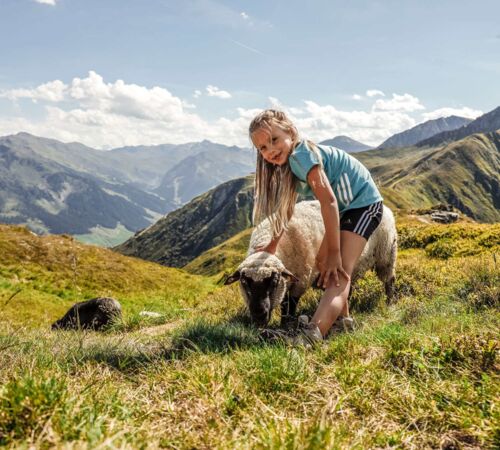 Wandern   Zillertal, Tirol