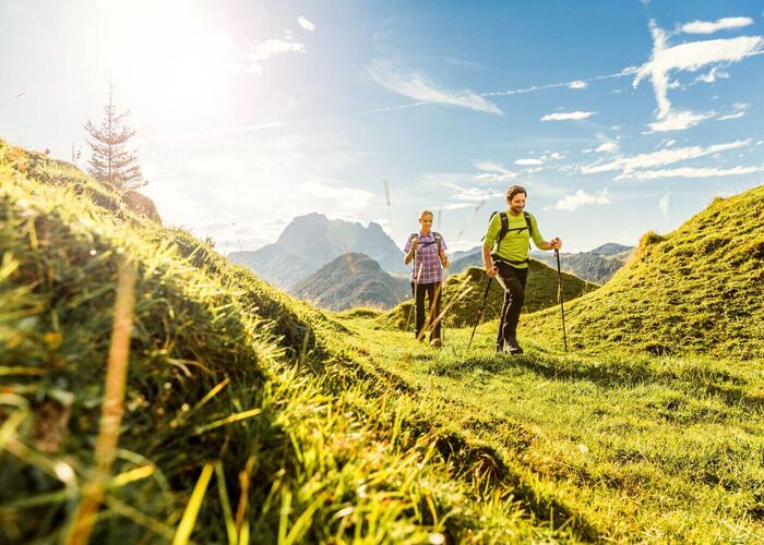 wandern in der wunderschoenen natur kitzbueheler alpen%C2%A9mirjageheye5 4zyd1n1m28q2ef8